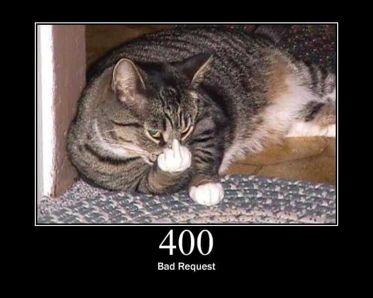http.cat 400 cat: bad request